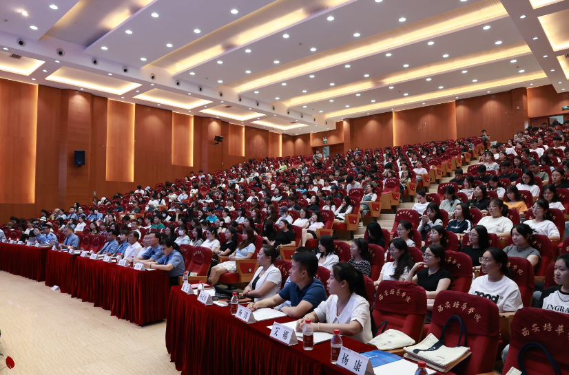 点击图片进入下一页