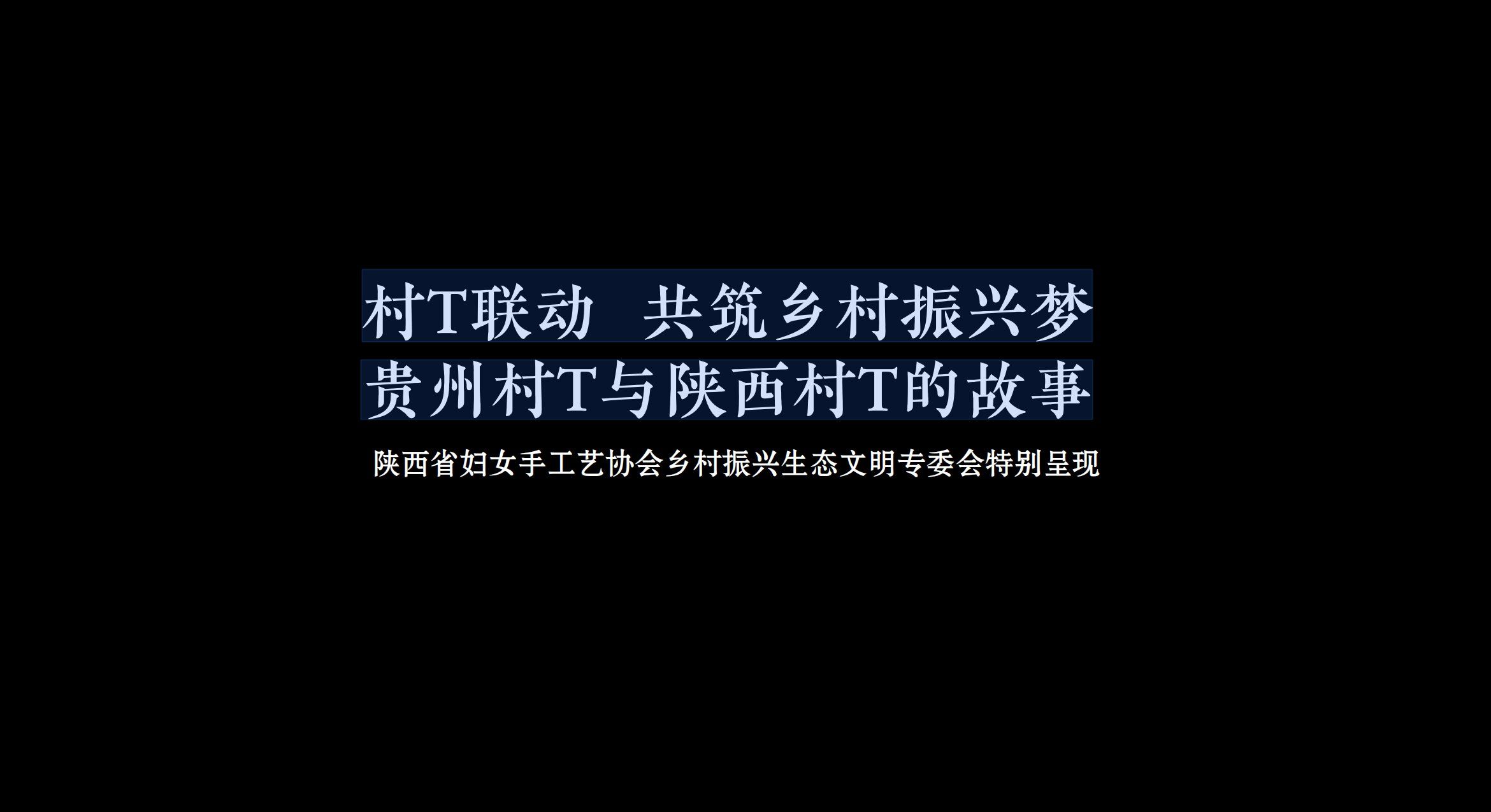 贵州村T与陕西村T联动·共筑乡村振兴梦