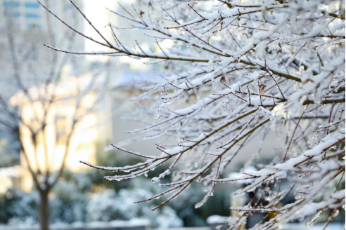 组图 | 雪霁天晴,所见皆美景