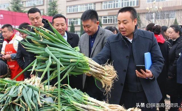 采购农产品助力脱贫攻坚,西安培华学院校园掀起爱心消费扶贫热潮