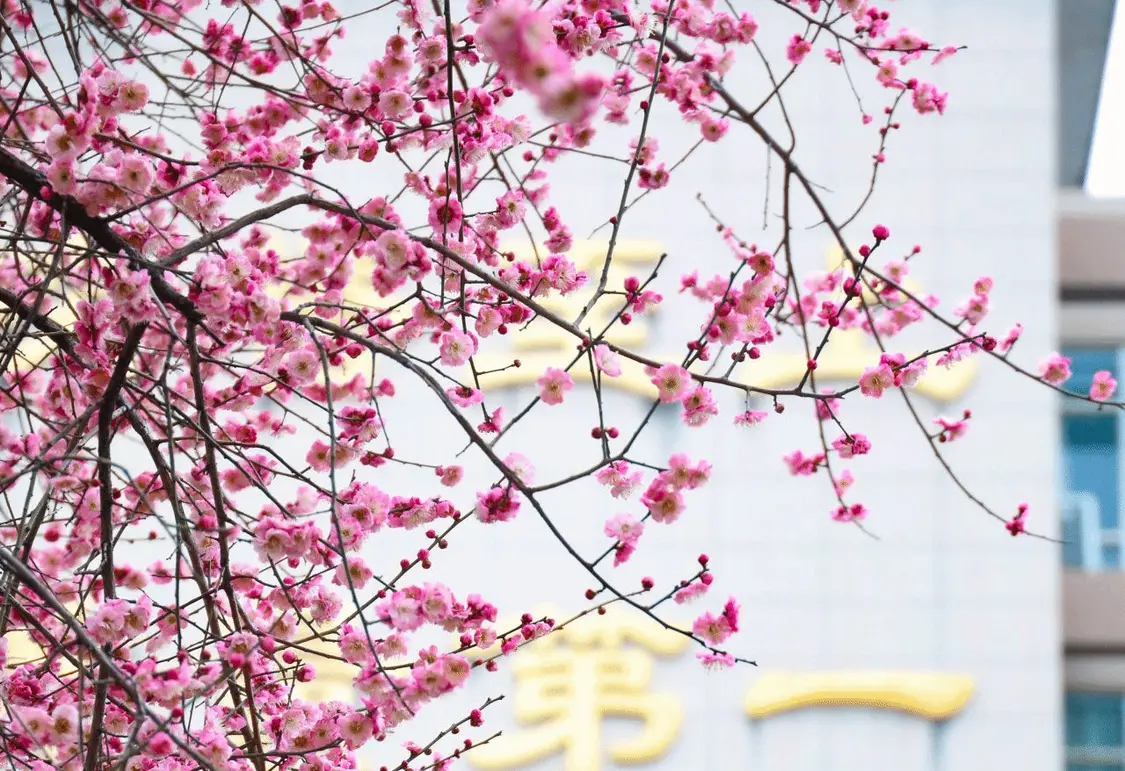 培煊平:春潮涌动谱新篇 奋楫扬帆正当时